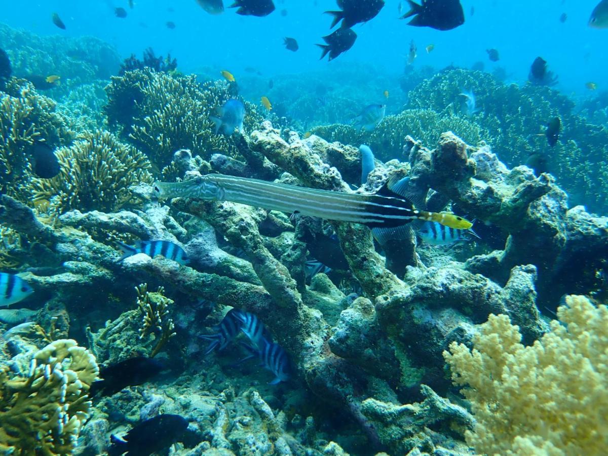 The High Dive Gili Gede By Ultimate Resorts ภายนอก รูปภาพ