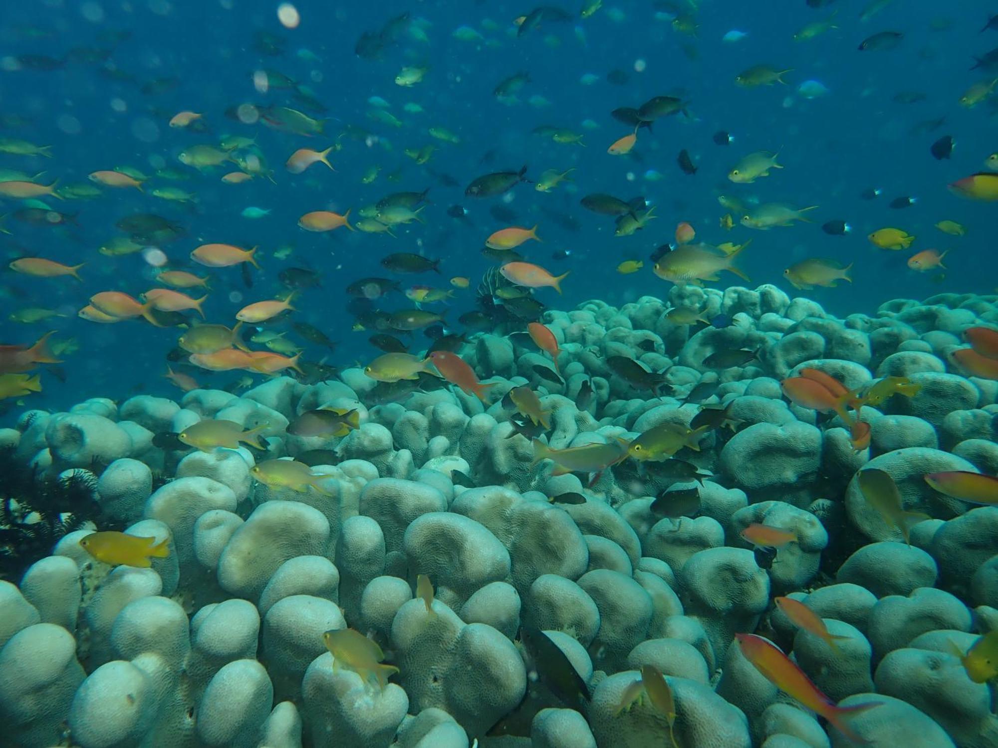 The High Dive Gili Gede By Ultimate Resorts ภายนอก รูปภาพ